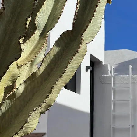 Casa Cactus Ocean View Tenerife South El Rio (Tenerife)